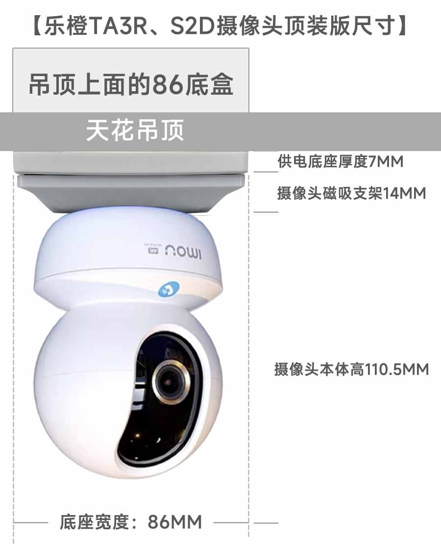 乐橙尺寸