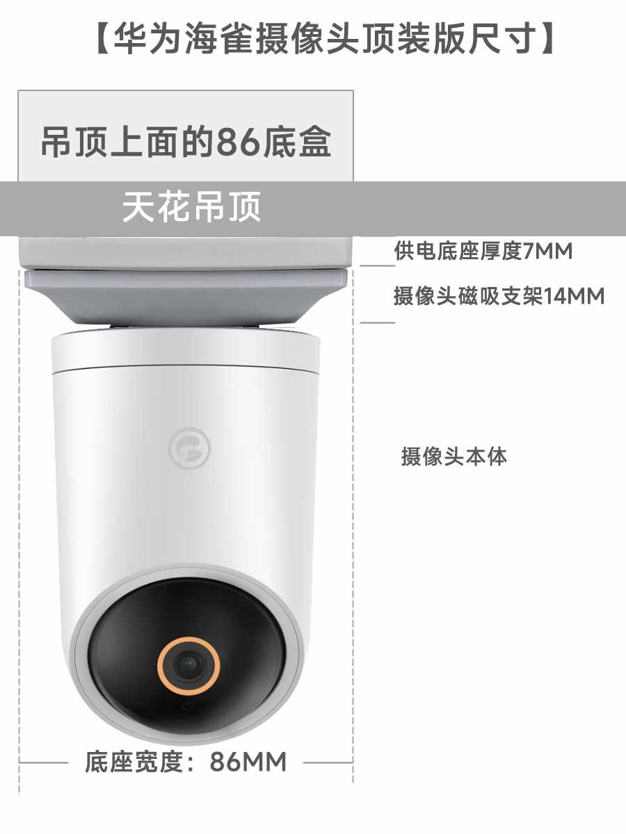海雀尺寸