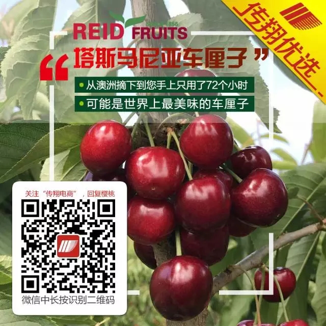 长按二维码关注传翔电商